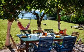 Beachfront Villa Meliti